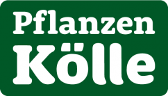 Pflanzen Kölle Wildau