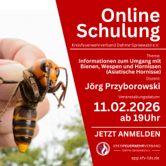 Wiederholung Online Schulung "Informationen zum Umgang mit Bienen, Wespen und Hornissen (Asiatische Hornisse) 
